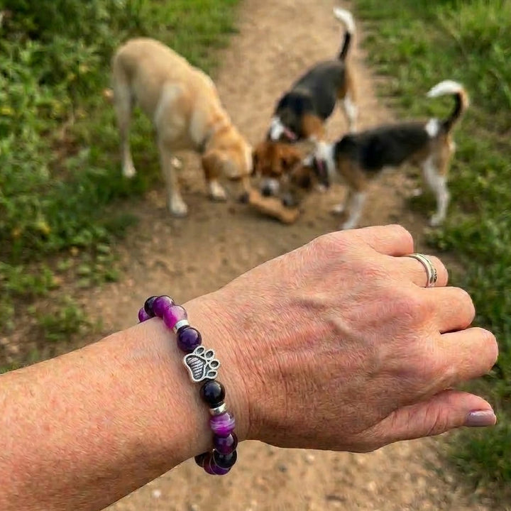 Majestic Paw Bracelet