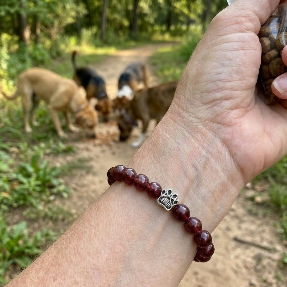 Pure Paw Bracelet