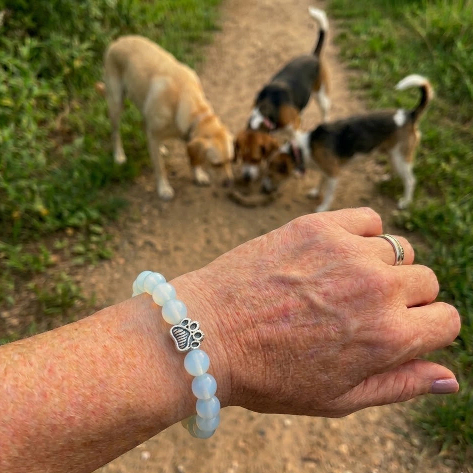 Moonlight Paw Bracelet