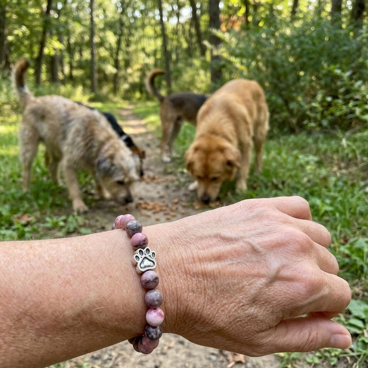 Petal Paw Bracelet